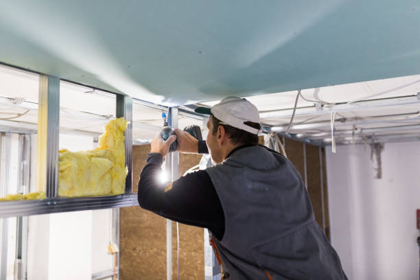 Best Geographic-Specific Insulation Services in Solon, OH